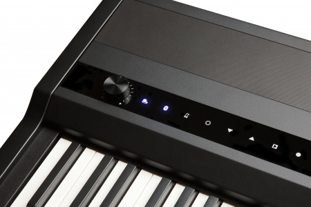 Цифровое пианино Kurzweil MPS110