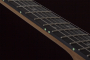 Электрогитара SCHECTER PT PRO TPB