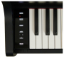 Цифровое пианино Casio Celviano AP-300BK