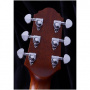 Гитара электроакустическая Crafter SM G-MAHOce