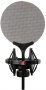 Микрофон студийный SE ELECTRONICS SE 2200