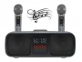 Караоке система с двумя радиомикрофонами SDRD SD 318 Grey